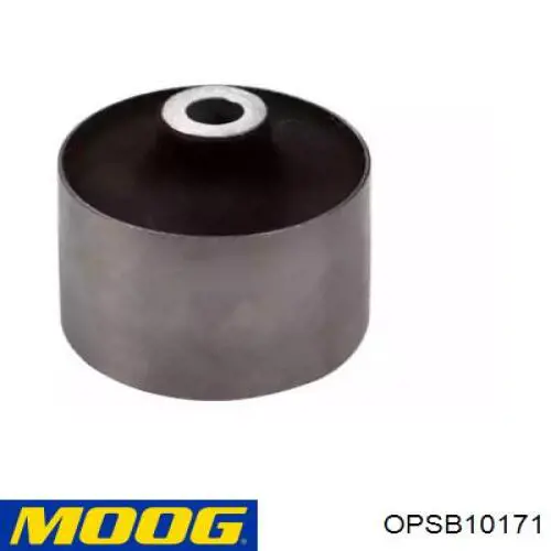 OP-SB-10171 Moog suspensión, cuerpo del eje trasero