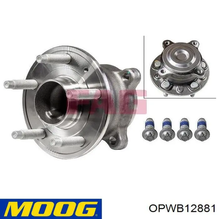 Comprar OPWB12881 Moog Cubo de rueda, Eje trasero