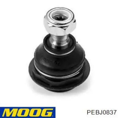 Rótula inferior de suspensión Moog PEBJ0837 precio, desde 12,90 EUR