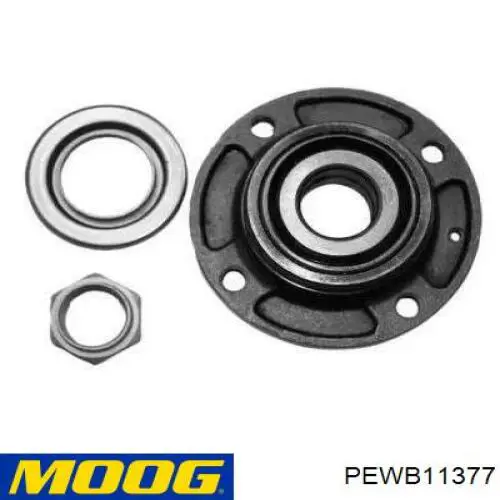 Cubo de rueda trasero TGB12894 SNR