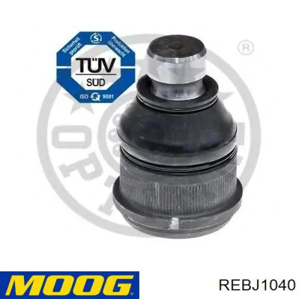 Rótula inferior de suspensión Moog REBJ1040 precio, desde 31,28 EUR