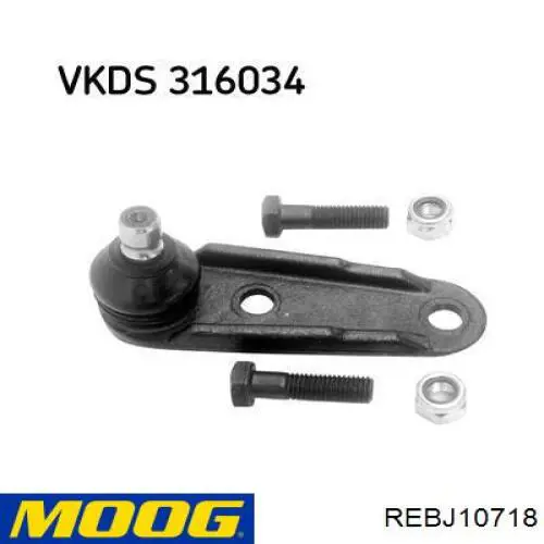 REBJ10718 Moog rótula de suspensión inferior