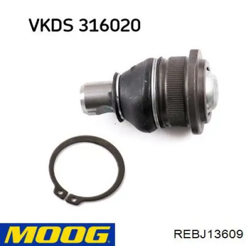 Comprar REBJ13609 Moog Rótula inferior de suspensión