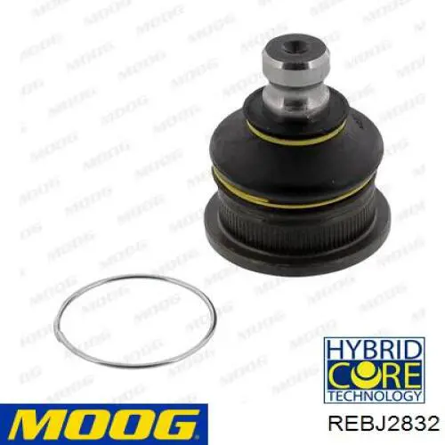 Rótula inferior de suspensión Moog REBJ2832 precio, desde 24,25 EUR