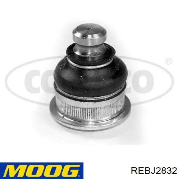 Comprar REBJ2832 Moog Rótula inferior de suspensión