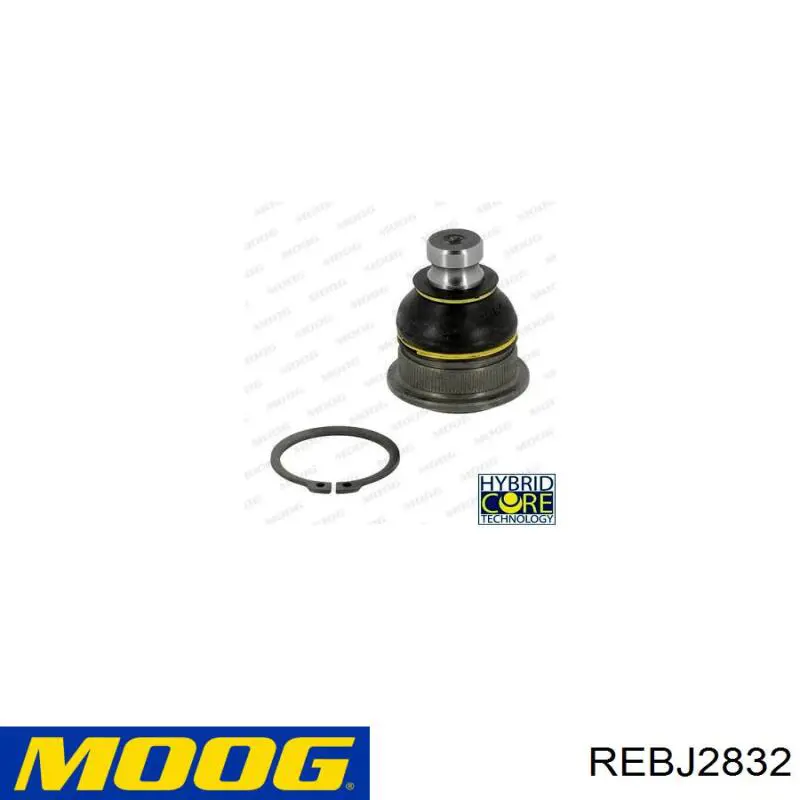 Rótula inferior de suspensión REBJ2832 Moog