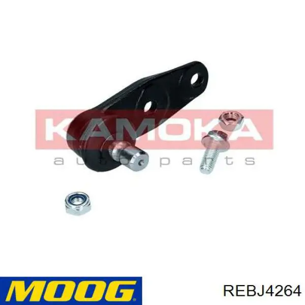 Rótula inferior de suspensión REBJ4264 Moog