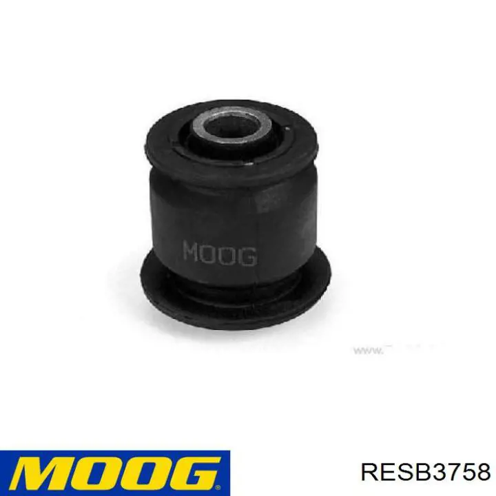 RE-SB-3758 Moog
