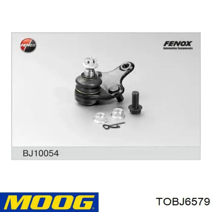 Rótula inferior de suspensión Moog TOBJ6579 precio, desde 42,79 EUR