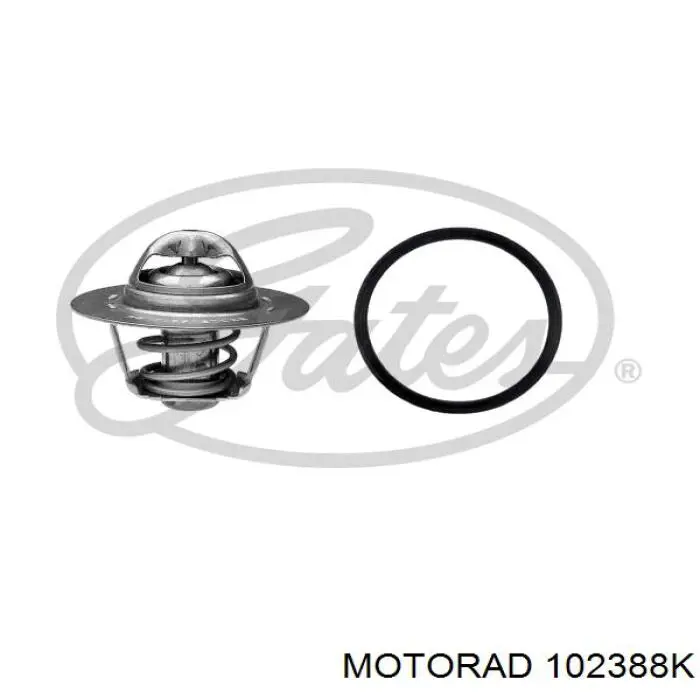 Termostato, refrigerante Renault Laguna 2 BG0, BG1