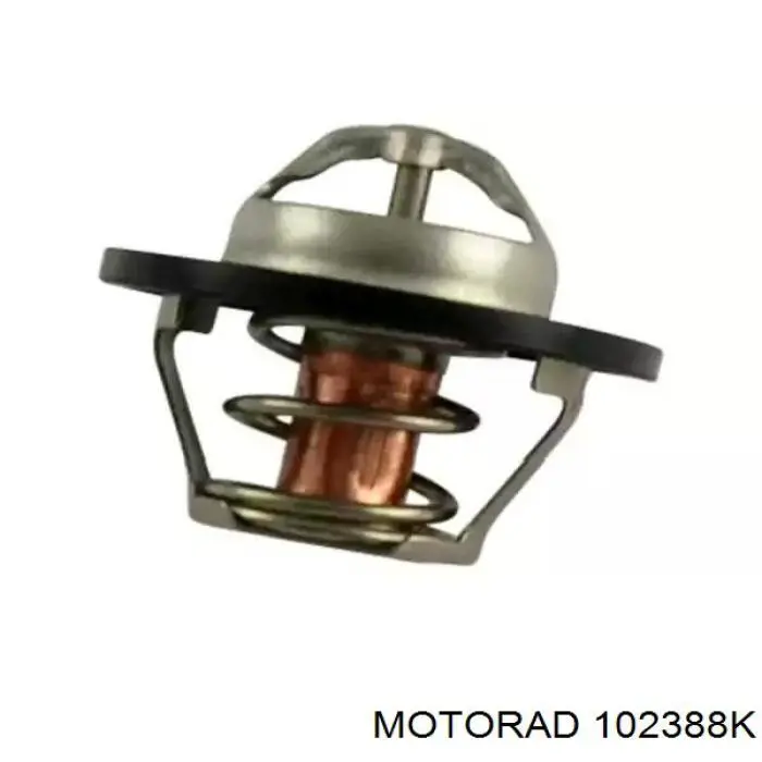 Termostato, refrigerante Renault Laguna 2 BG0, BG1