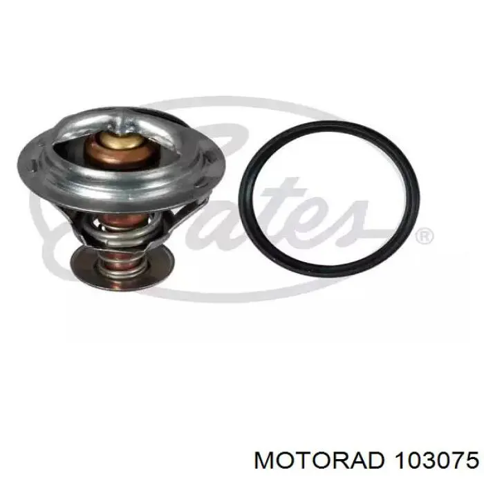 Termostato auxiliar TH62275 Gates