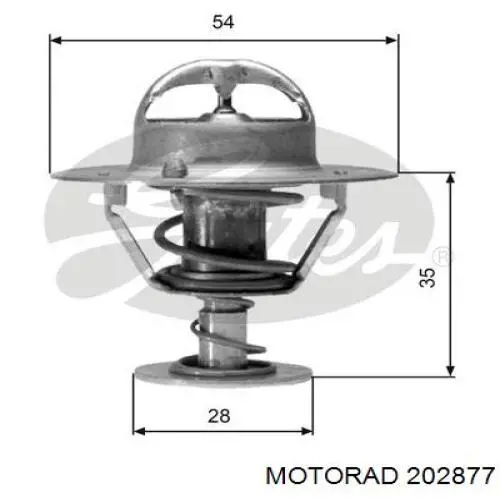 2028-77 Motorad termostato