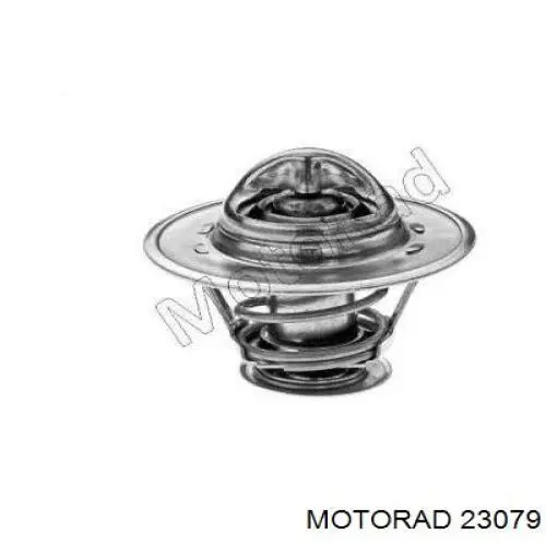23079 Motorad Termostato de agua