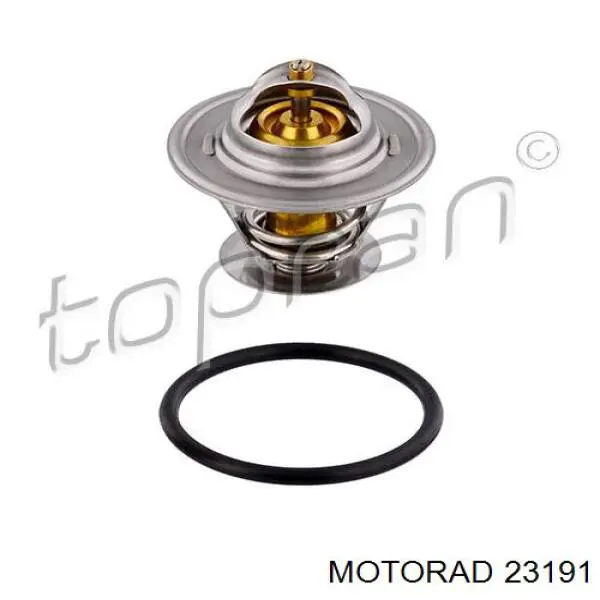 231-91 Motorad termostato, refrigerante