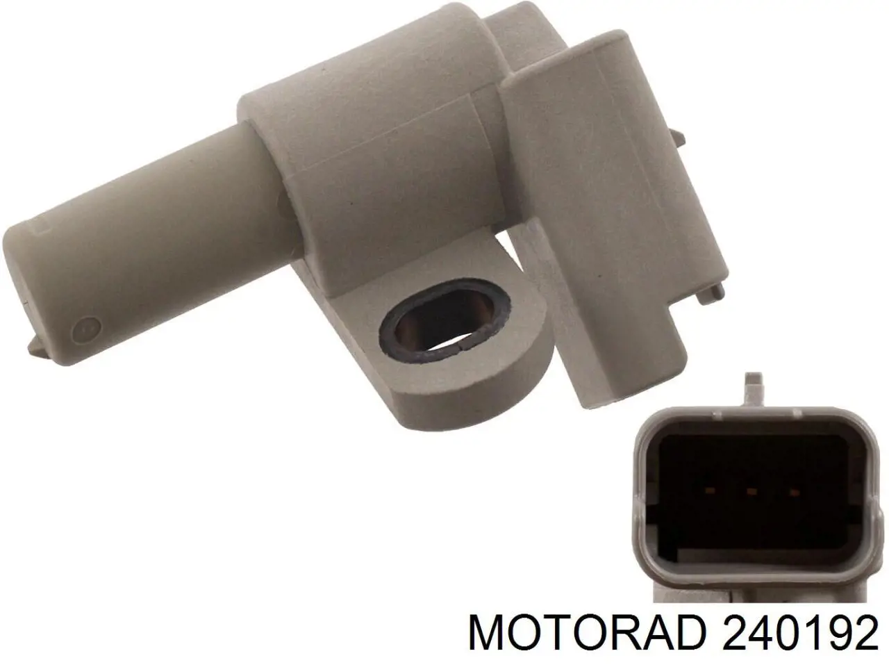 240192 Motorad