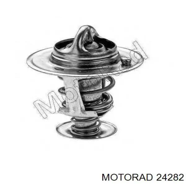 242-82 Motorad termostato, refrigerante