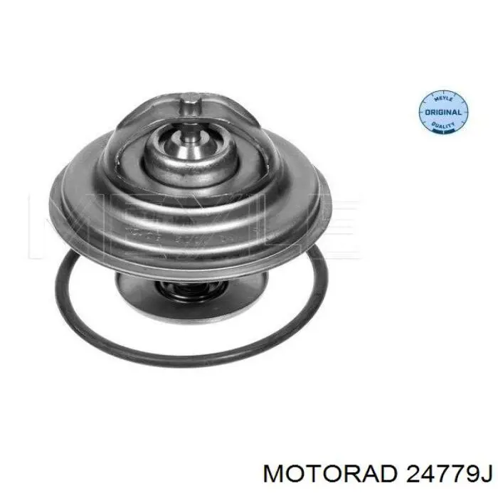 247-79J Motorad termostato, refrigerante