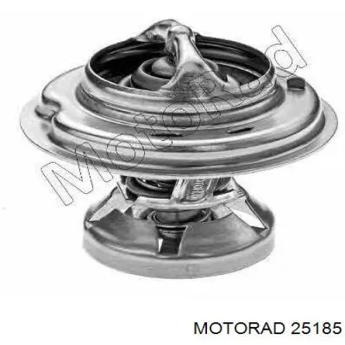 Termostato Motorad 25185 precio, desde 10,15 EUR