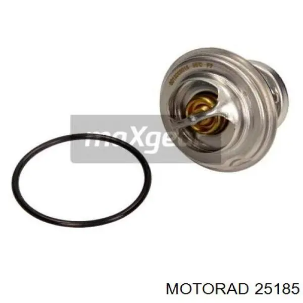 Comprar 25185 Motorad Termostato