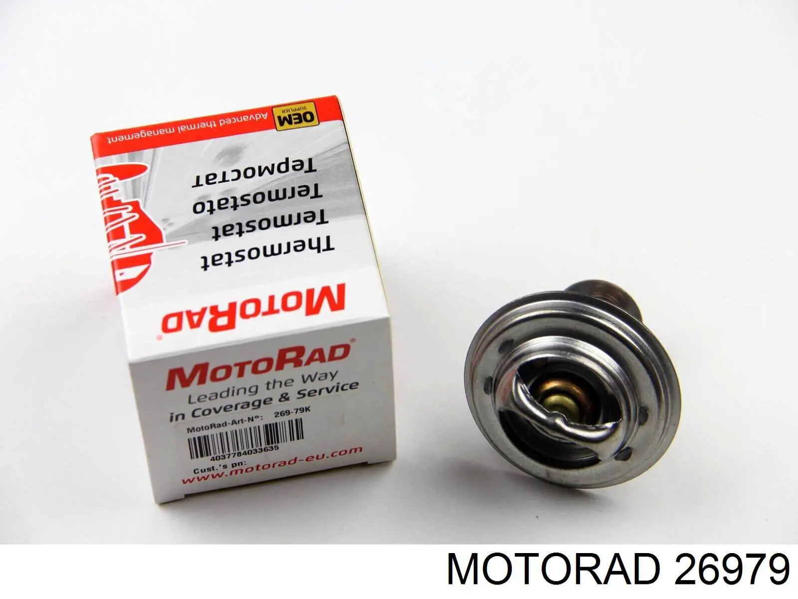 26979 Motorad termostato