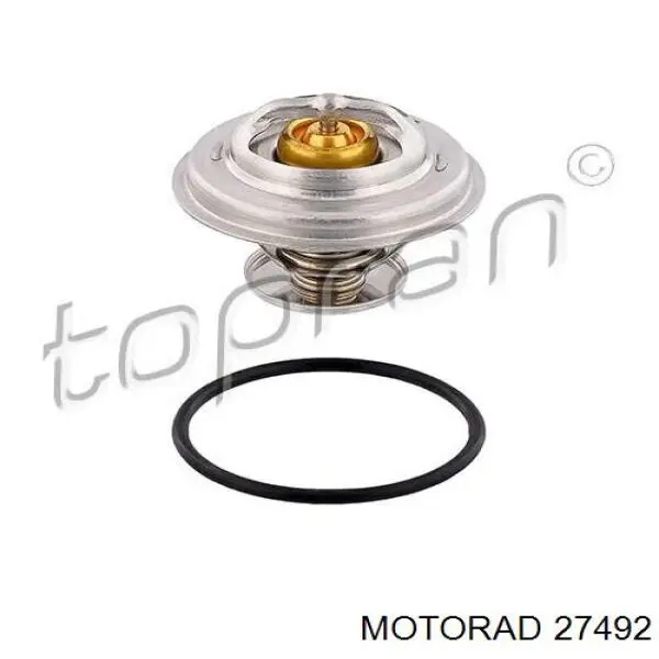 Comprar 27492 Motorad Termostato