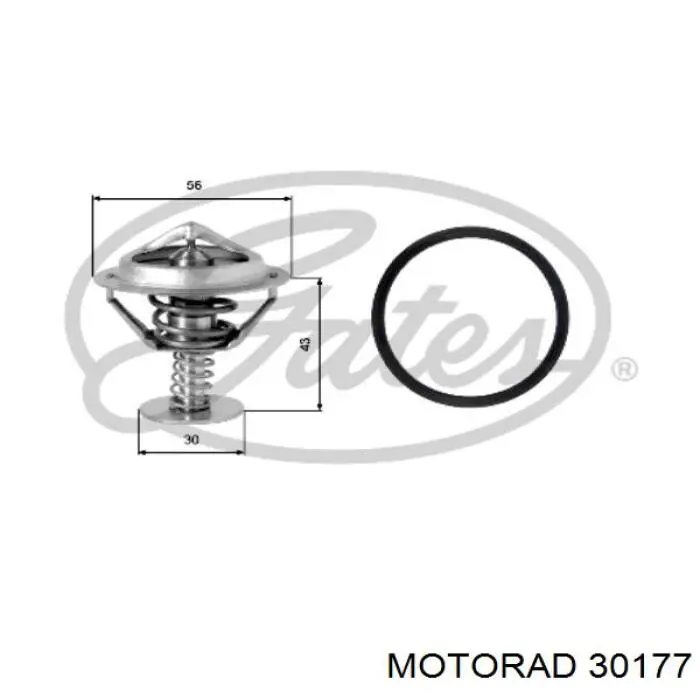 301-77 Motorad termostato, refrigerante