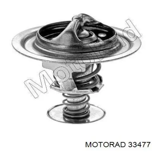 334-77 Motorad termostato, refrigerante