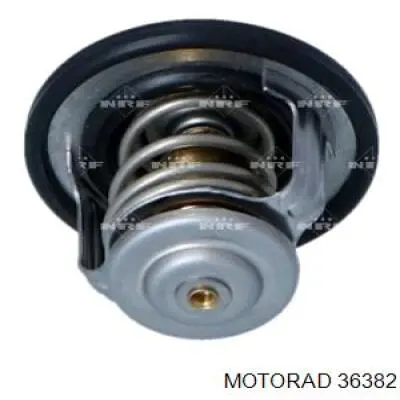 363-82 Motorad termostato