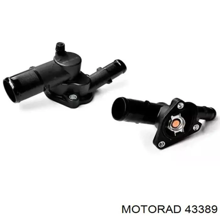 Comprar 43389 Motorad Termostato