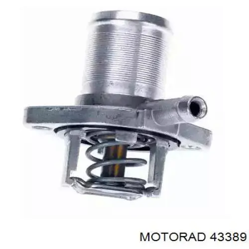 Termostato 43389 Motorad