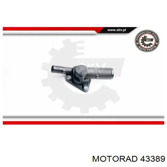 Termostato refrigerante Motorad 43389