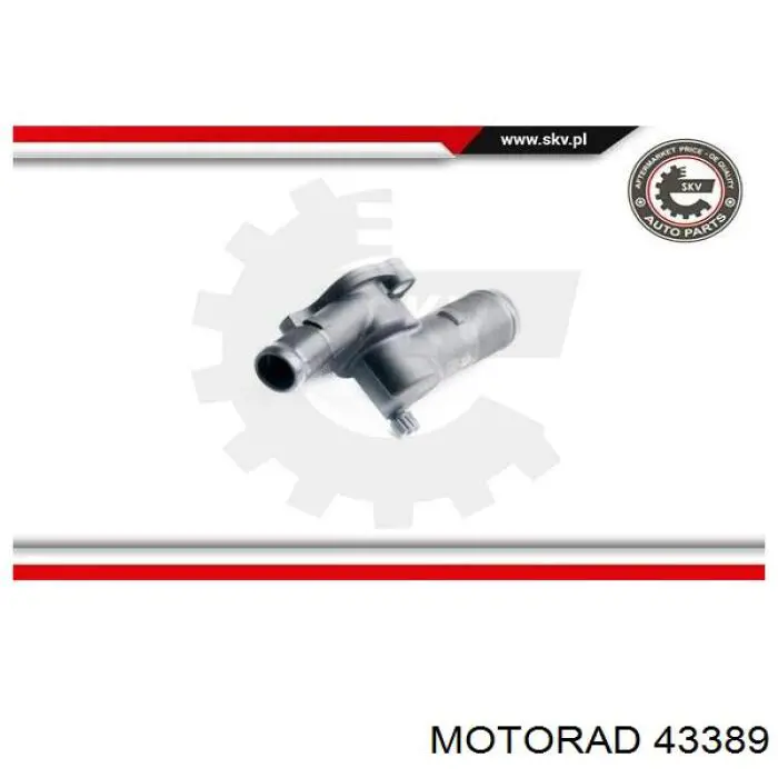 Termostato Motorad 43389 precio, desde 10,62 EUR