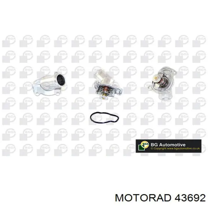 Termostato 43692 Motorad