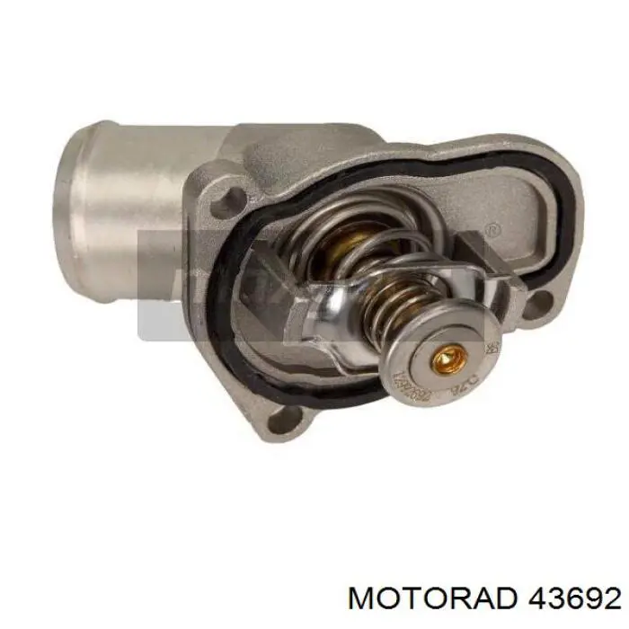 43692 Motorad Termostato de agua