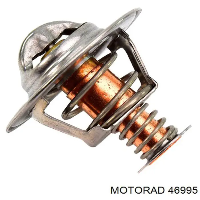46995 Motorad termostato