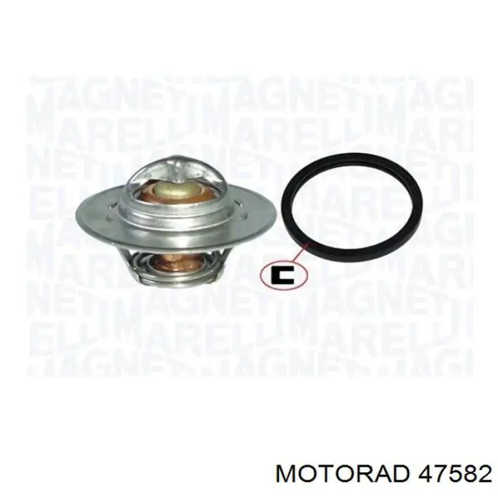 050121113B VAG Termostato de agua