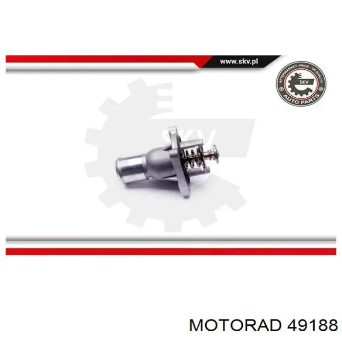 491-88 Motorad termostato