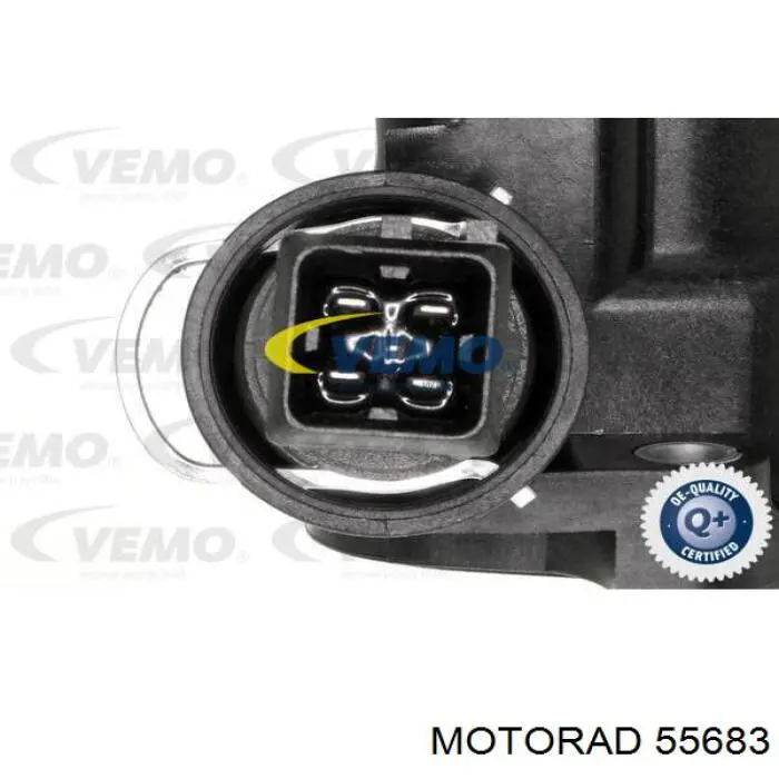 Termostato, refrigerante Nissan Tiida C11X