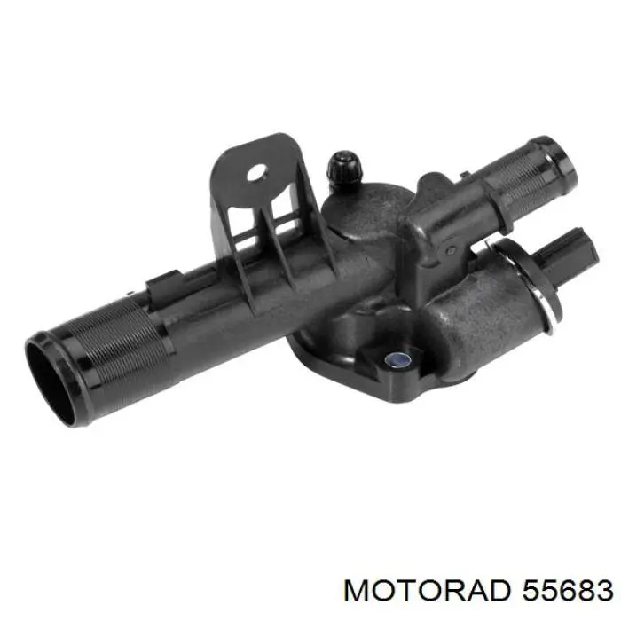 Termostato, refrigerante Nissan Tiida C11X