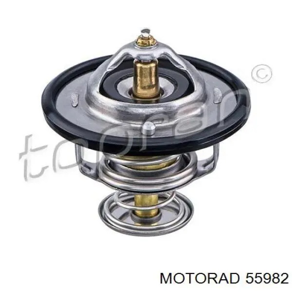 559-82 Motorad termostato, refrigerante