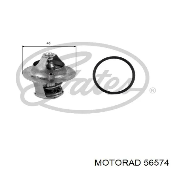 1306001 Ford Termostato de agua