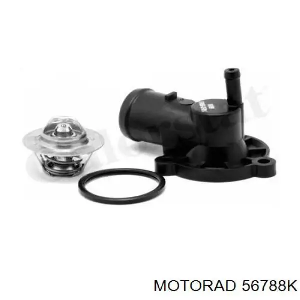 Comprar 952201 Cautex Termostato
