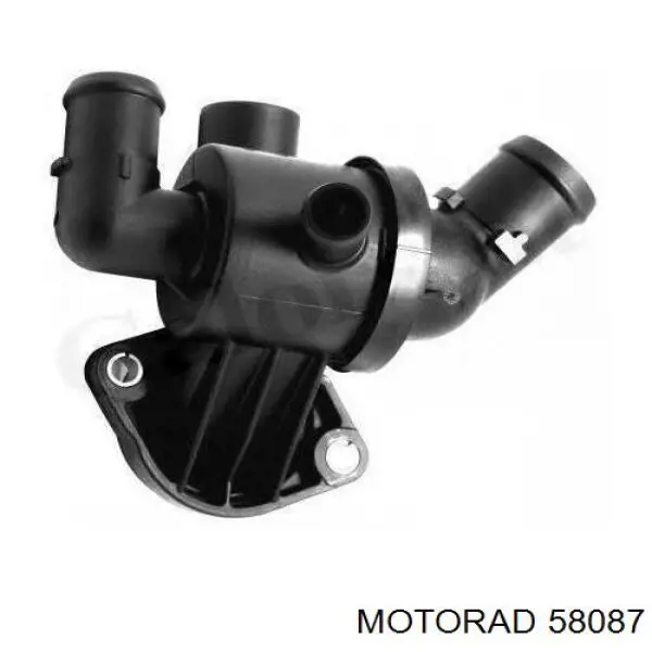 Comprar 58087 Motorad Termostato