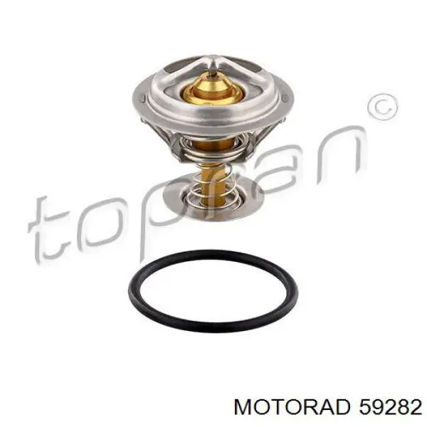 59282 Motorad termostato