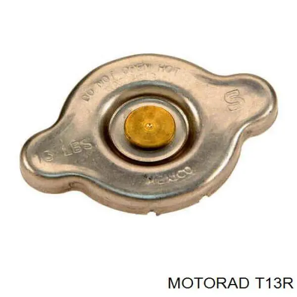 T13R Motorad