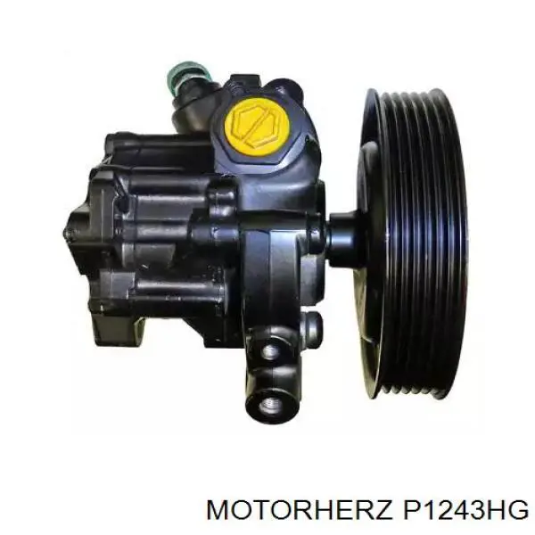 P1243HG Motorherz bomba hidráulica de dirección