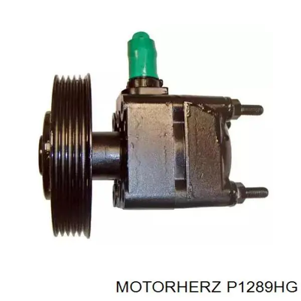 P1289HG Motorherz bomba hidráulica de dirección