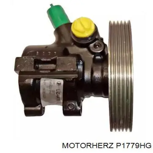 P1779HG Motorherz bomba hidráulica de dirección