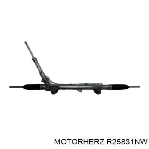 R25831NW Motorherz